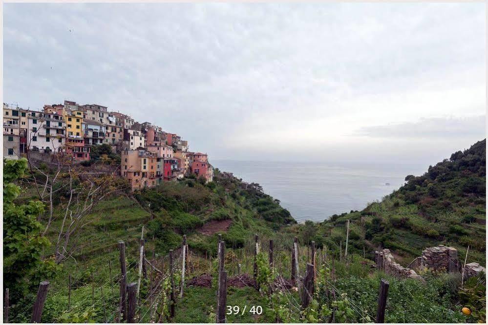 New Hanging Garden Corniglia Exterior photo